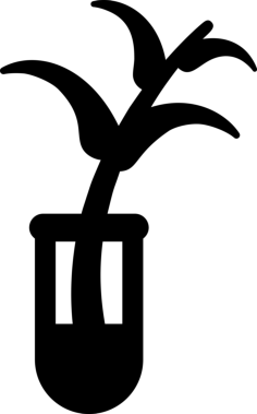 Plant Sample Contour Svg Vector, Free Vectors File